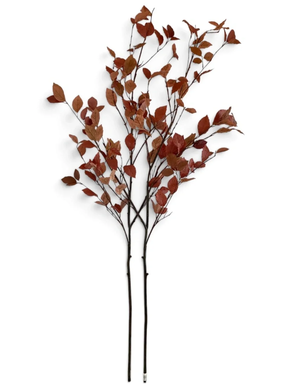 Crate & Barrel Faux Rust Leaf Branches 66